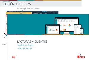 disputas
